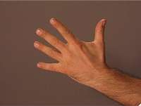 Beispiel: Fnf Finger